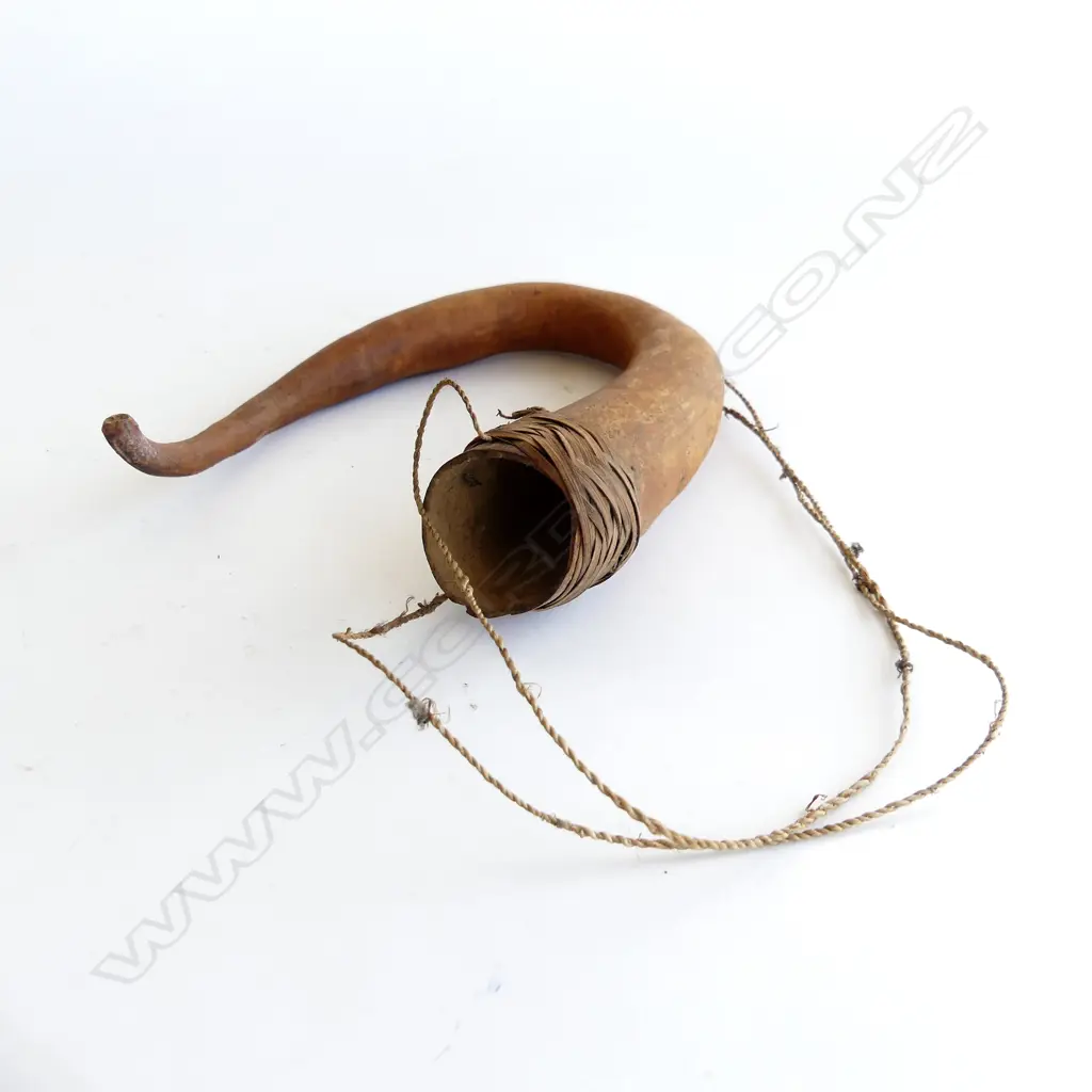 A PNG penis gourd, Image 1++